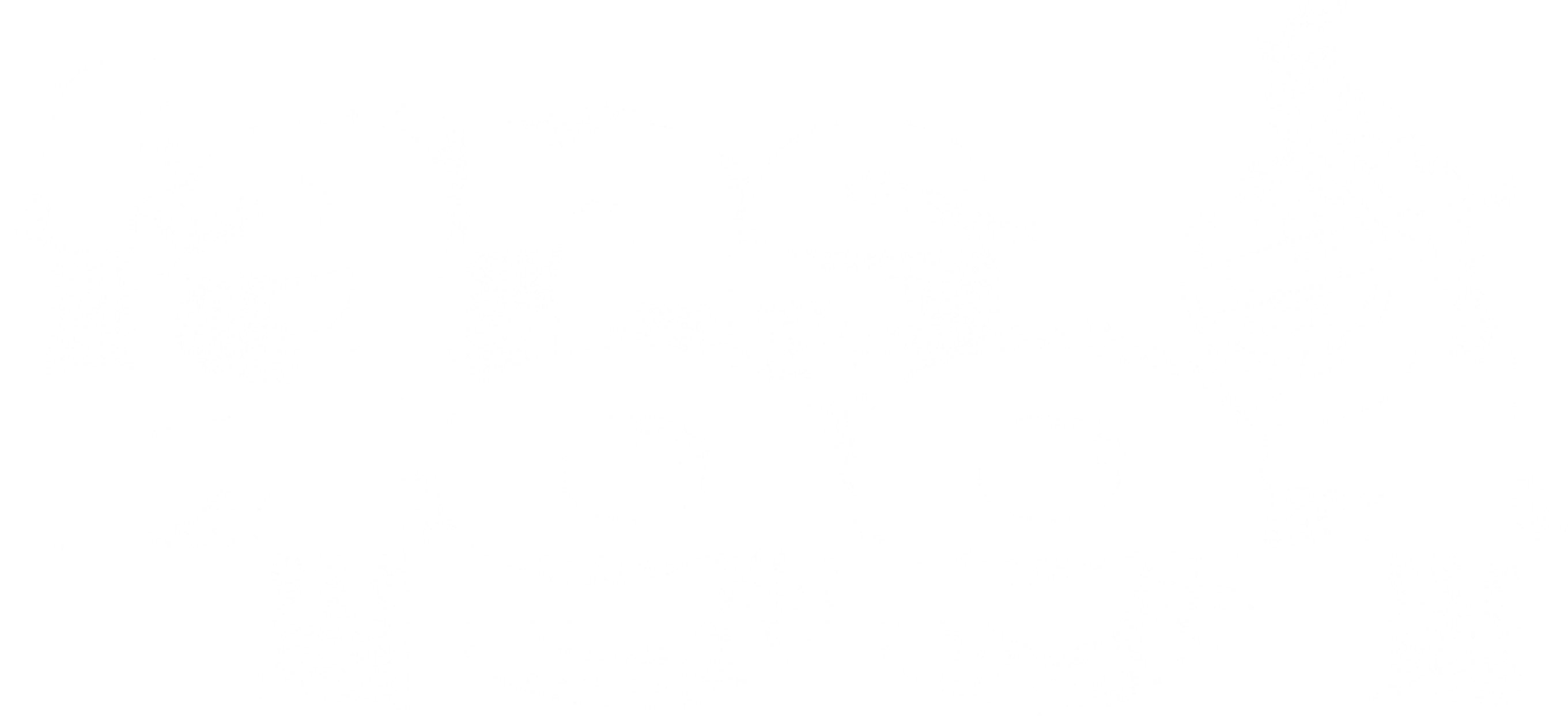 Fans 1991 Logo